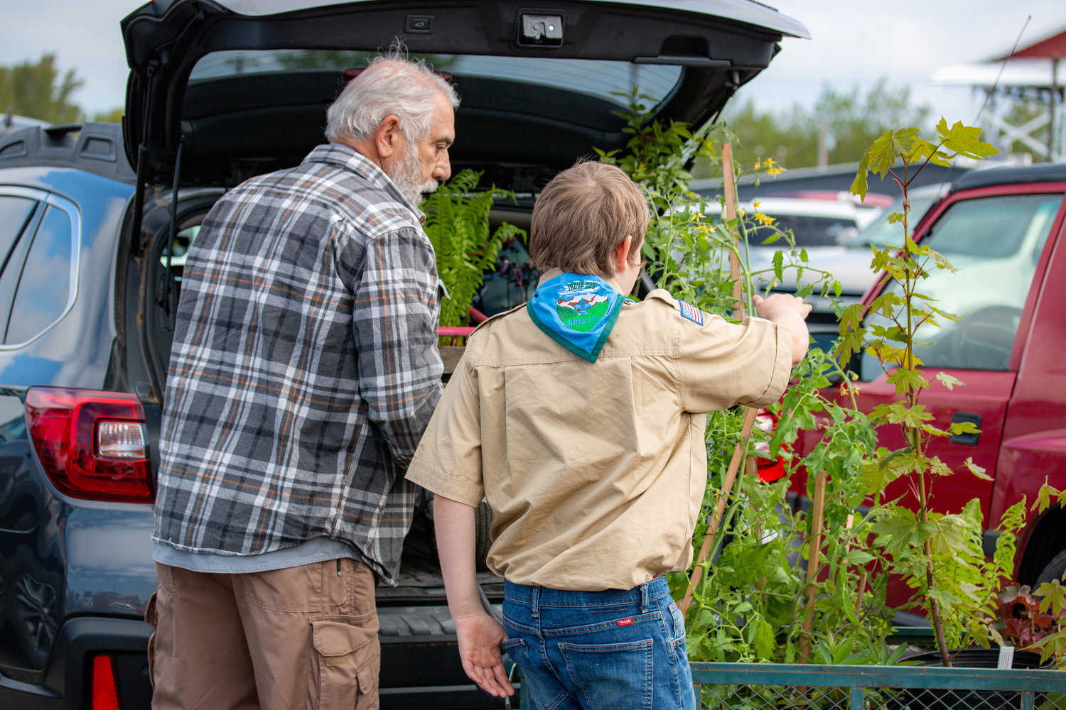 A Boy Scout helps load a car at the Master Gardener Plant Sale at the Southwest Washington Fairgrounds Saturday.